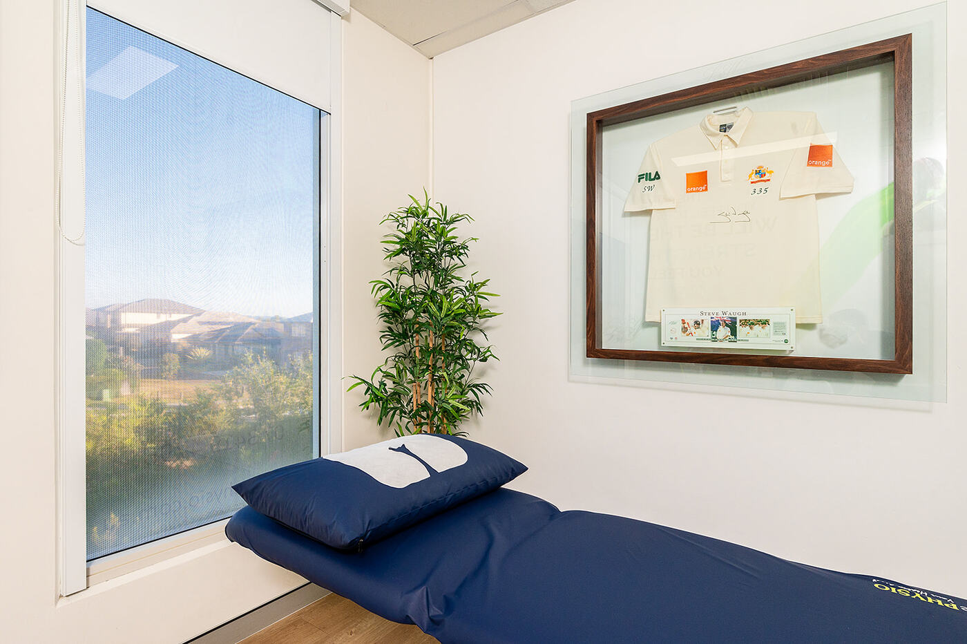 IntegratePHYSIO