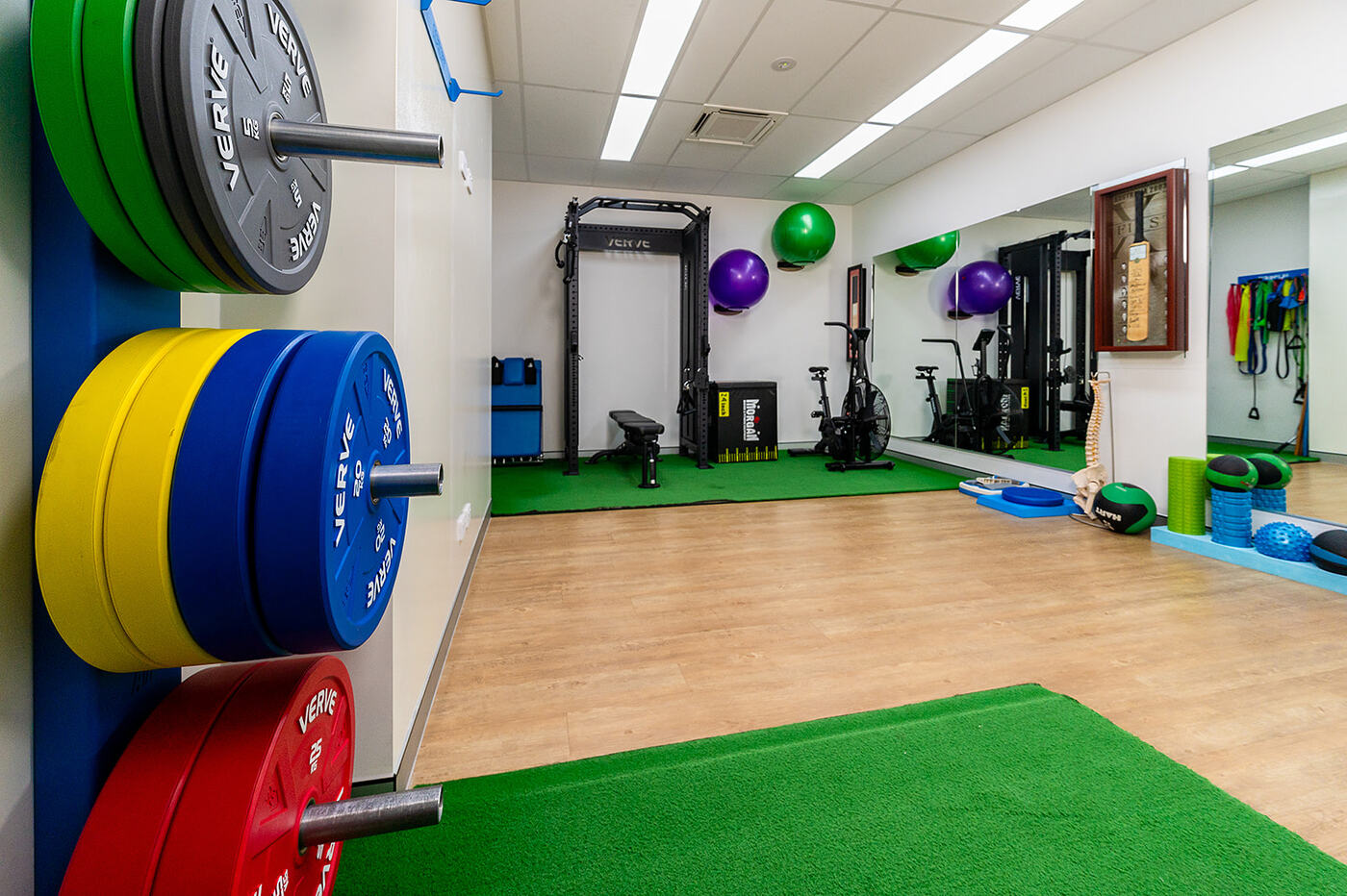 IntegratePHYSIO