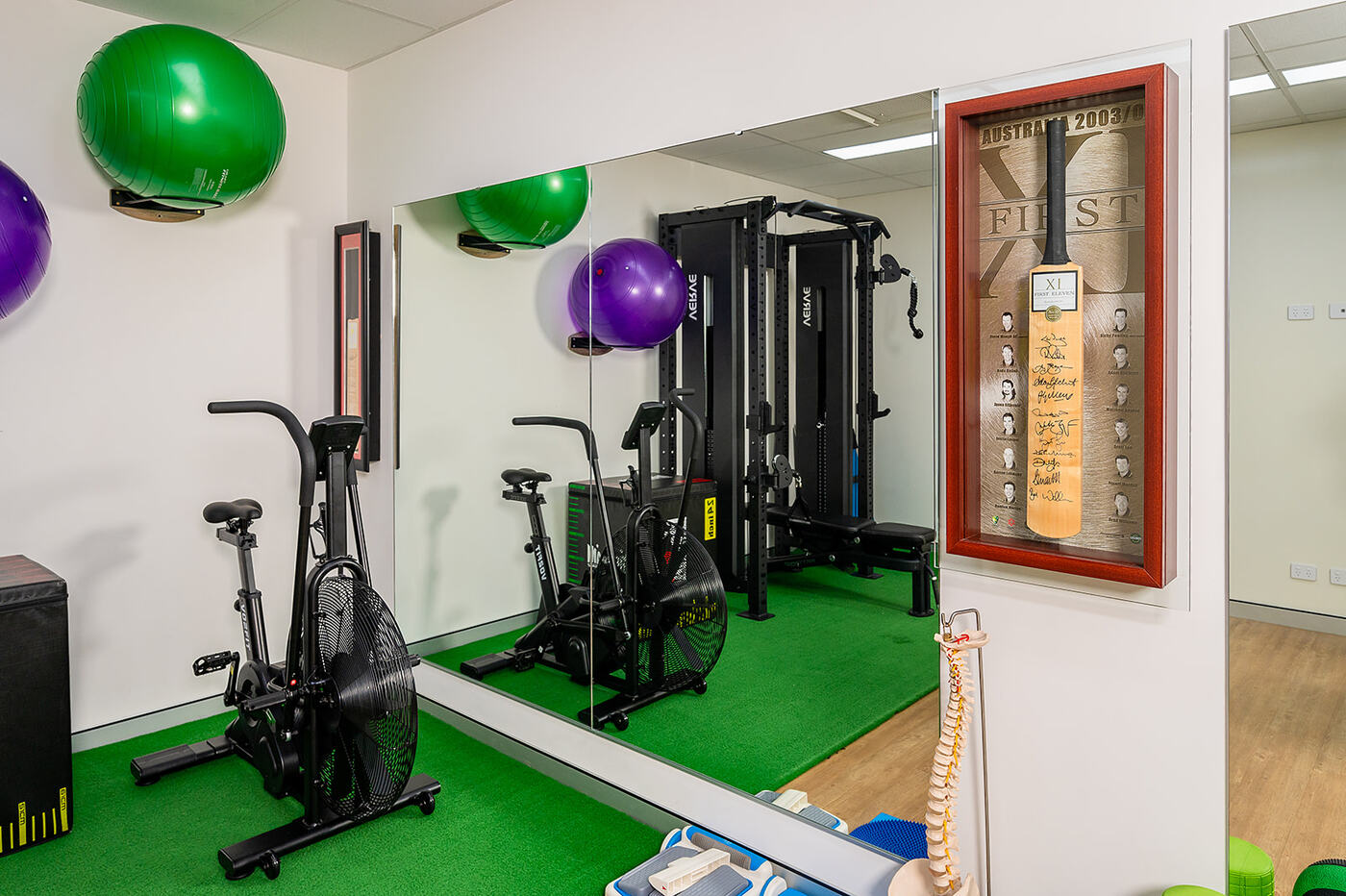 IntegratePHYSIO